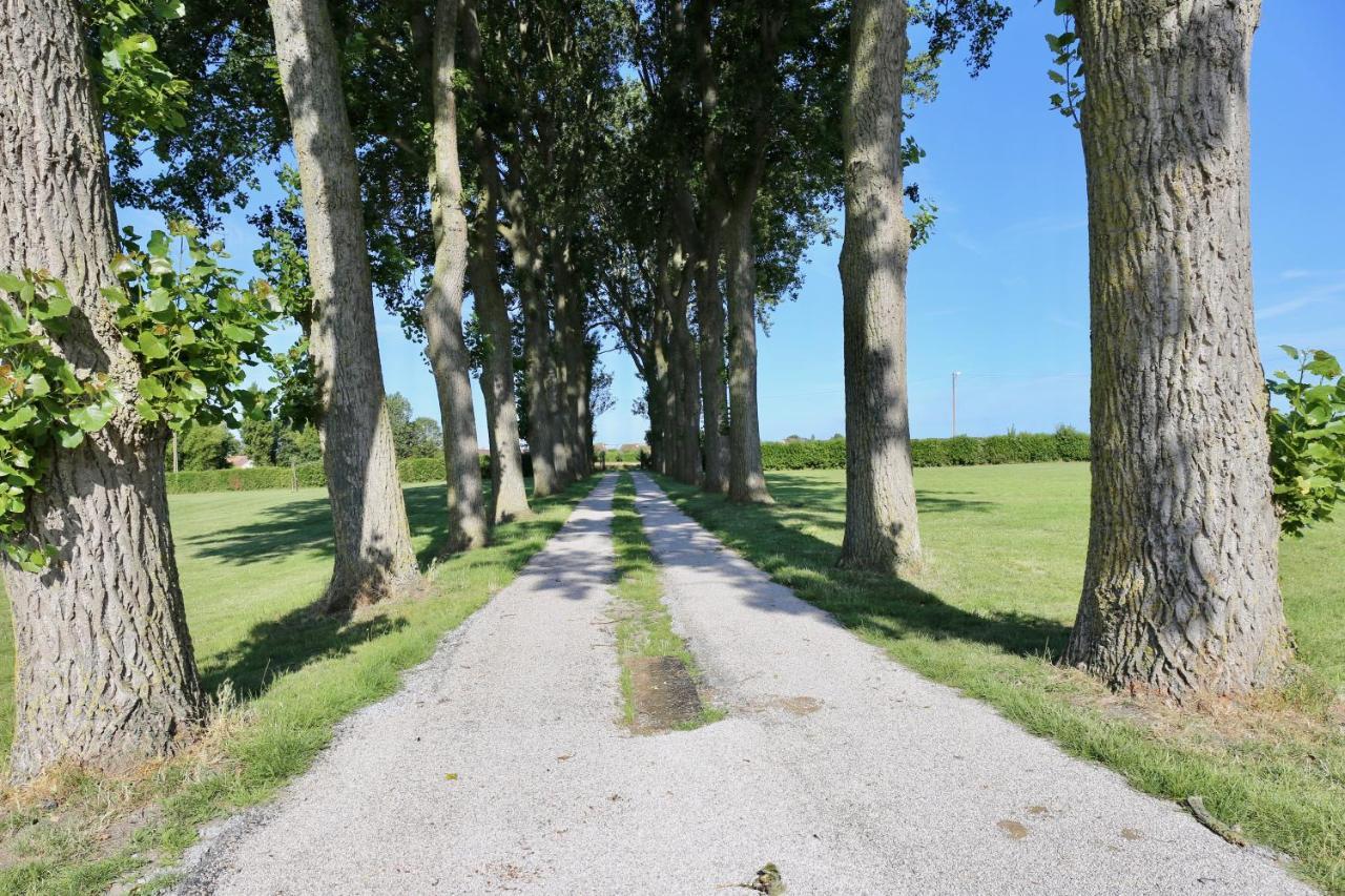Pensjonat La Grange Du Veld Téteghem Zewnętrze zdjęcie